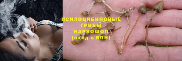 метадон Медногорск