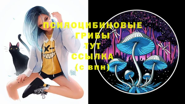 метадон Медногорск