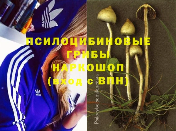 метадон Медногорск