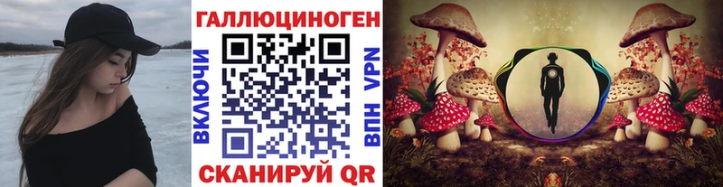 Псилоцибиновые грибы Cubensis  Купить  Гдов 